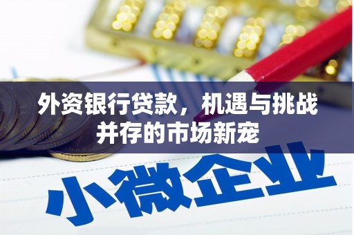 秦安外资银行贷款，机遇与挑战并存的市场新宠