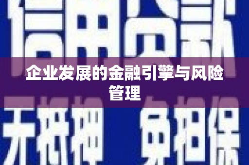 秦安企业发展的金融引擎与风险管理