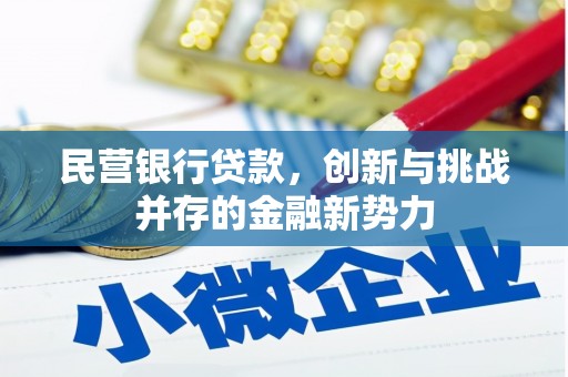 秦安民营银行贷款，创新与挑战并存的金融新势力