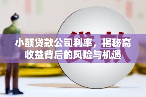 秦安小额贷款公司利率，揭秘高收益背后的风险与机遇