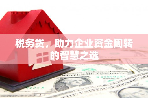 秦安税务贷，助力企业资金周转的智慧之选