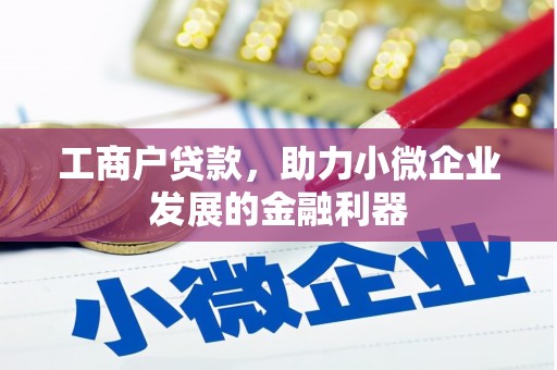 秦安工商户贷款，助力小微企业发展的金融利器
