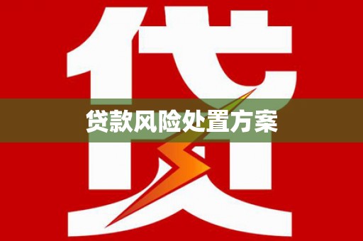 秦安贷款风险处置方案