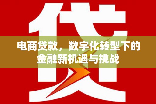 秦安电商贷款，数字化转型下的金融新机遇与挑战
