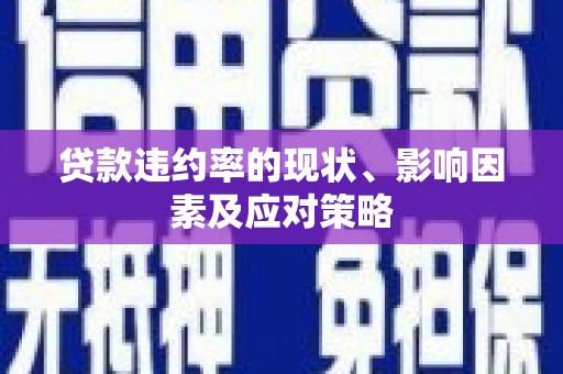 秦安贷款违约率的现状、影响因素及应对策略