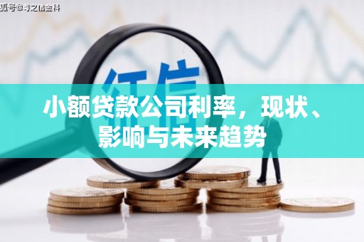 秦安小额贷款公司利率，现状、影响与未来趋势