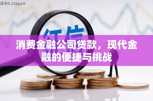 秦安消费金融公司贷款，现代金融的便捷与挑战