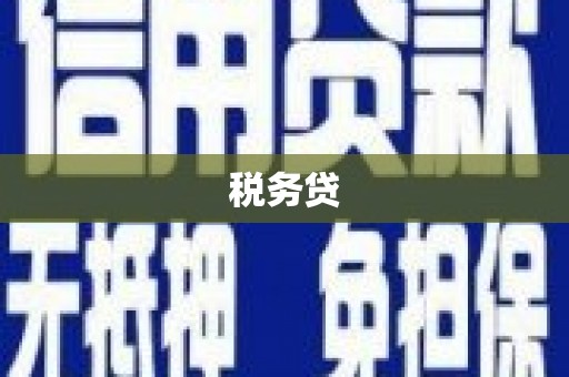 秦安税务贷