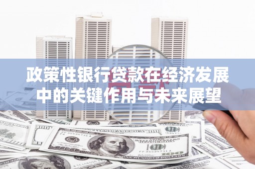 秦安政策性银行贷款在经济发展中的关键作用与未来展望