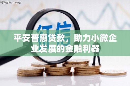 秦安平安普惠贷款，助力小微企业发展的金融利器
