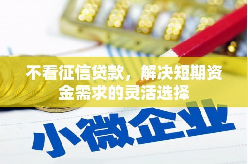 秦安不看征信贷款，解决短期资金需求的灵活选择