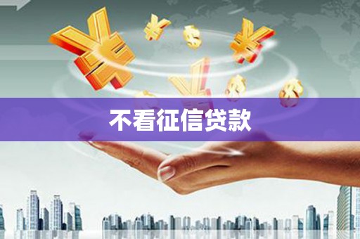 秦安不看征信贷款