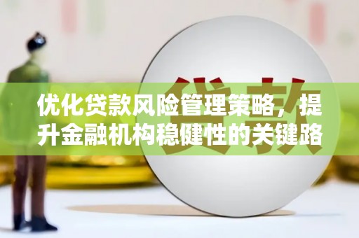 秦安优化贷款风险管理策略，提升金融机构稳健性的关键路径