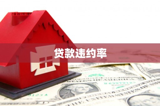 秦安贷款违约率