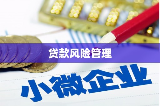 秦安贷款风险管理