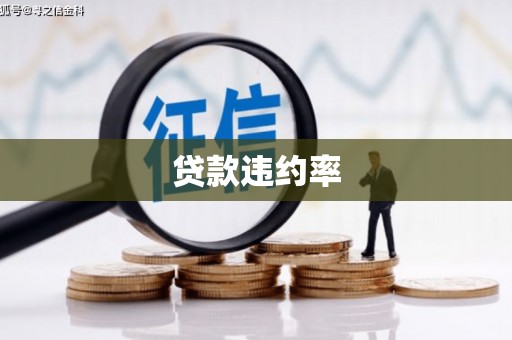 秦安贷款违约率