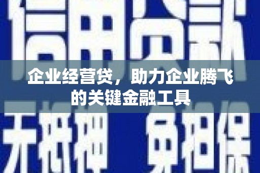 秦安企业经营贷，助力企业腾飞的关键金融工具