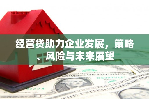 秦安经营贷助力企业发展，策略、风险与未来展望