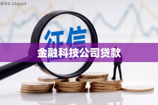 秦安金融科技公司贷款