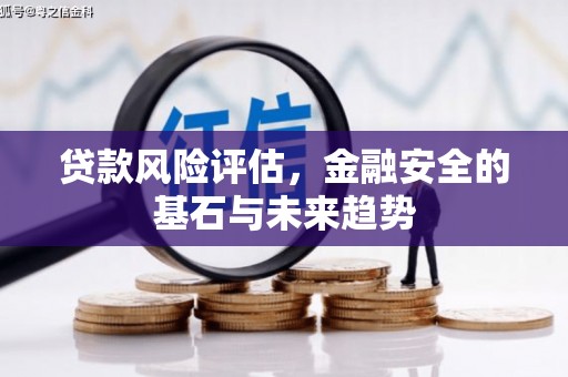 秦安贷款风险评估，金融安全的基石与未来趋势