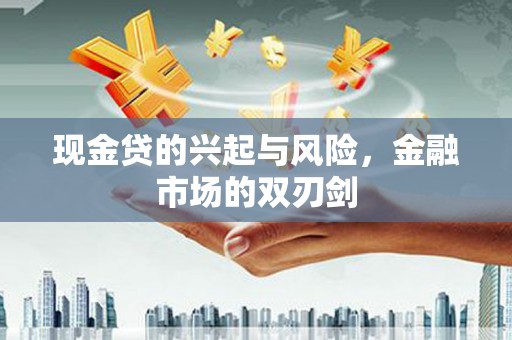 秦安现金贷的兴起与风险，金融市场的双刃剑