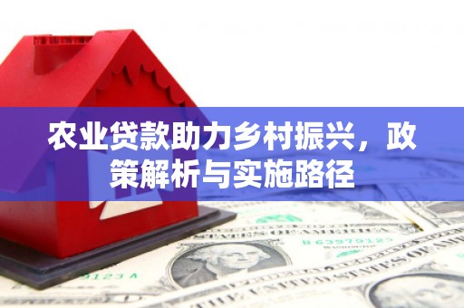 秦安农业贷款助力乡村振兴，政策解析与实施路径
