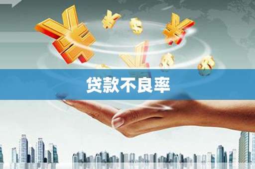 秦安贷款不良率