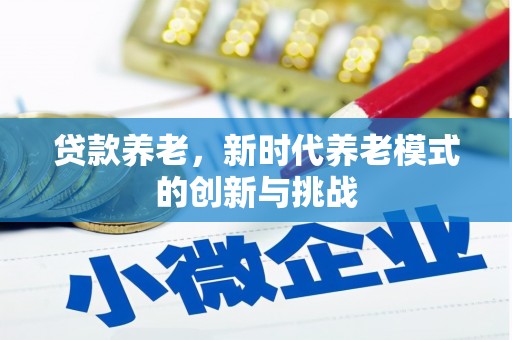 秦安贷款养老，新时代养老模式的创新与挑战