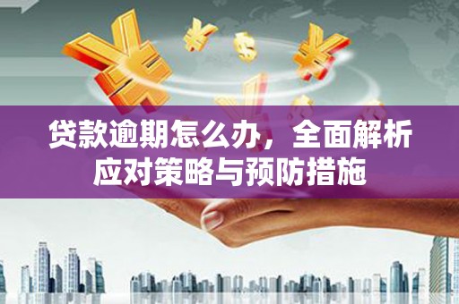 秦安贷款逾期怎么办，全面解析应对策略与预防措施