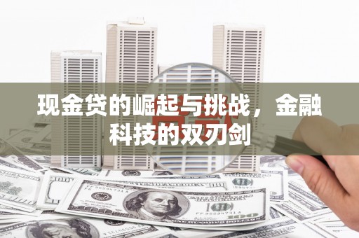 秦安现金贷的崛起与挑战，金融科技的双刃剑