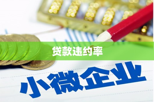 秦安贷款违约率