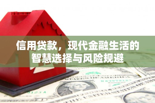 秦安信用贷款，现代金融生活的智慧选择与风险规避