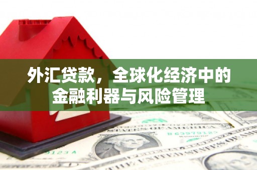 秦安外汇贷款，全球化经济中的金融利器与风险管理
