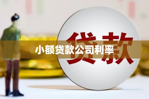 秦安小额贷款公司利率