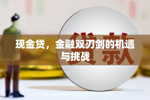 秦安现金贷，金融双刃剑的机遇与挑战