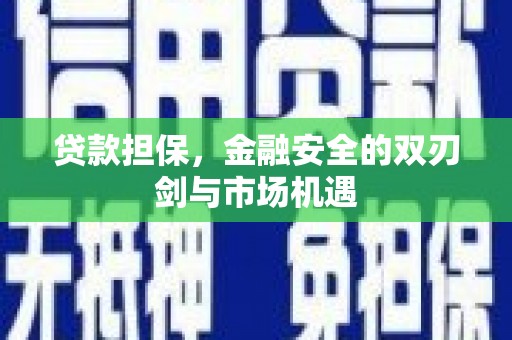 秦安贷款担保，金融安全的双刃剑与市场机遇