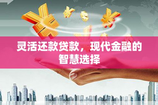 秦安灵活还款贷款，现代金融的智慧选择