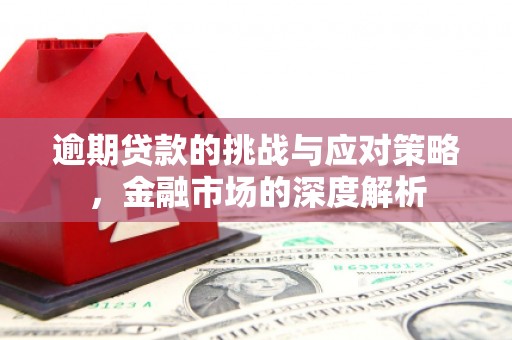秦安逾期贷款的挑战与应对策略，金融市场的深度解析