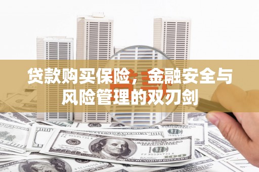 秦安贷款购买保险，金融安全与风险管理的双刃剑