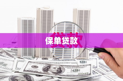 秦安保单贷款