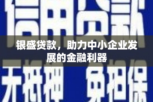 秦安银盛贷款，助力中小企业发展的金融利器