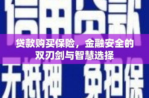 秦安贷款购买保险，金融安全的双刃剑与智慧选择