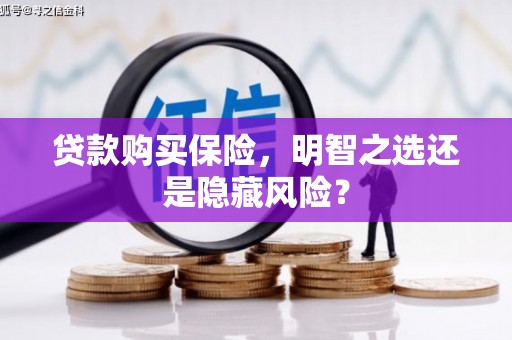 秦安贷款购买保险，明智之选还是隐藏风险？