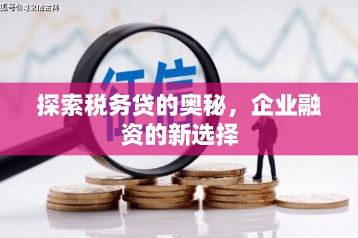 秦安探索税务贷的奥秘，企业融资的新选择