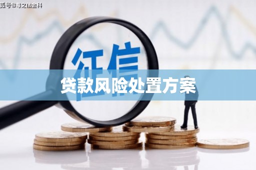 秦安贷款风险处置方案