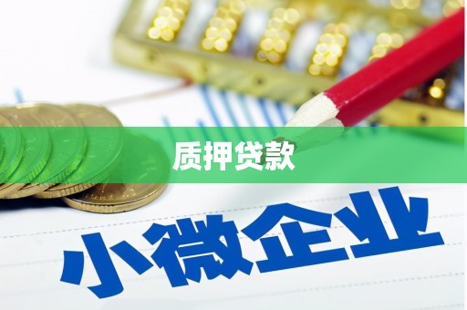 秦安质押贷款