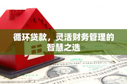 秦安循环贷款，灵活财务管理的智慧之选