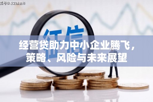 秦安经营贷助力中小企业腾飞，策略、风险与未来展望