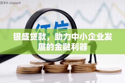 秦安银盛贷款，助力中小企业发展的金融利器