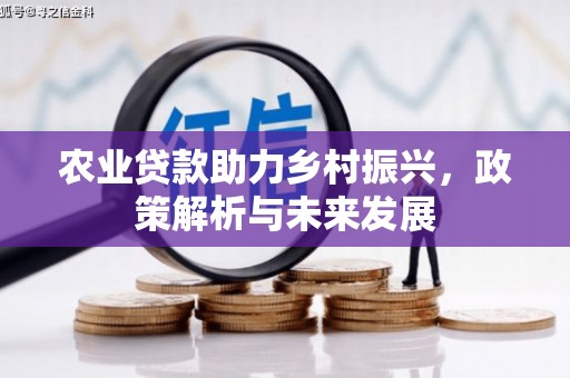 秦安农业贷款助力乡村振兴，政策解析与未来发展